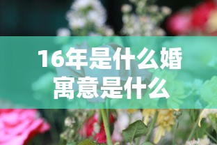 16年是什么婚 寓意是什么  第1张
