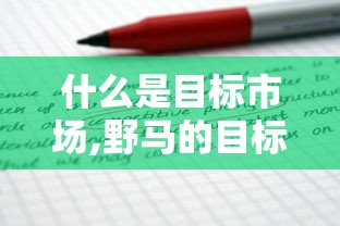 什么是目标市场,野马的目标市场是什么  第1张