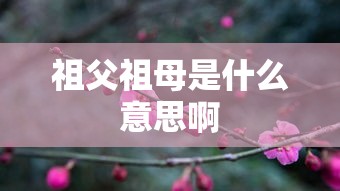 祖父祖母是什么意思啊  第1张
