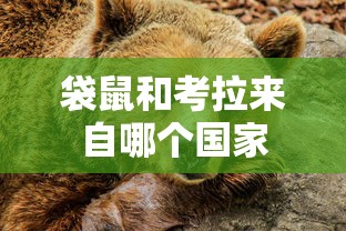 崩坏学园2国服官网  第1张