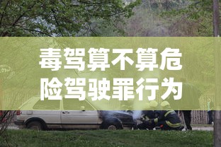 毒驾算不算危险驾驶罪行为  第1张
