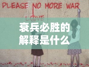 衰兵必胜的解释是什么  第1张