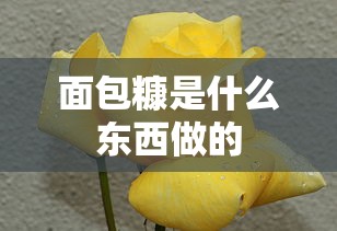 面包糠是什么东西做的  第1张