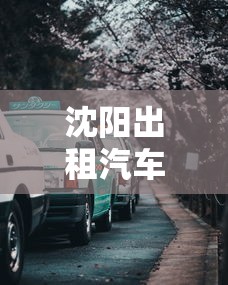 沈阳出租汽车网官网考试题  第1张