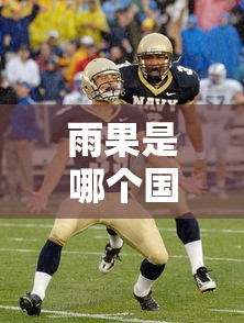 雨果是哪个国家的运动员  第1张