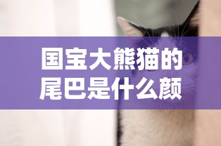 国宝大熊猫的尾巴是什么颜色  第1张