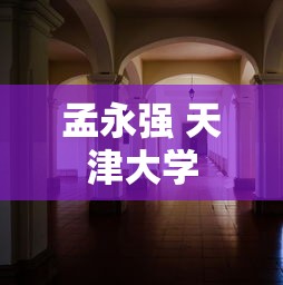 孟永强 天津大学  第1张
