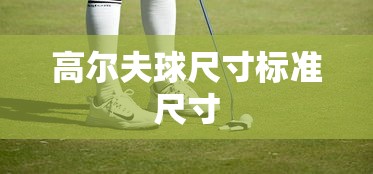 高尔夫球尺寸标准尺寸  第1张