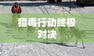 猎毒行动终极对决  第1张