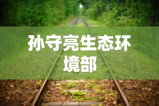孙守亮生态环境部  第1张