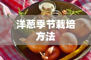 洋葱季节栽培方法  第1张