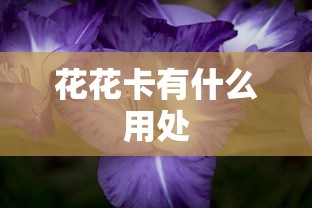 花花卡有什么用处  第1张