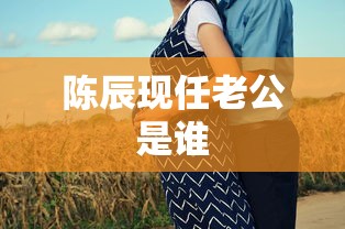 陈辰现任老公是谁  第1张
