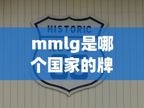mmlg是哪个国家的牌子  第1张