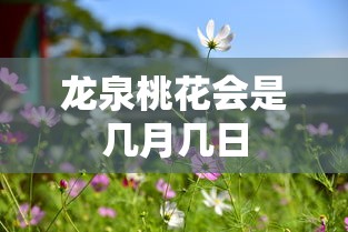 龙泉桃花会是几月几日  第1张