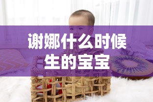 谢娜什么时候生的宝宝  第1张