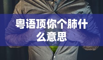 粤语顶你个肺什么意思  第1张