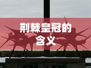 荆棘皇冠的含义  第1张