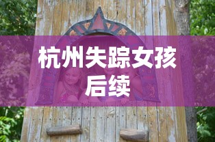 杭州失踪女孩后续  第1张