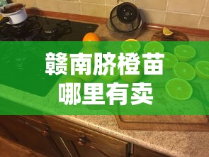 赣南脐橙苗哪里有卖  第1张