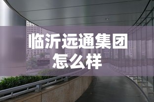 临沂远通集团怎么样  第1张