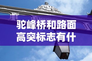 驼峰桥和路面高突标志有什么区别  第1张