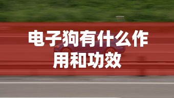 奥雅之光大改版前的样子  第1张