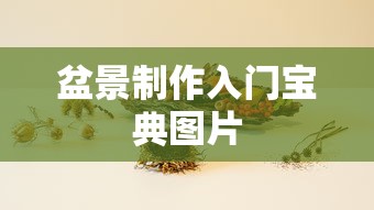 盆景制作入门宝典图片  第1张