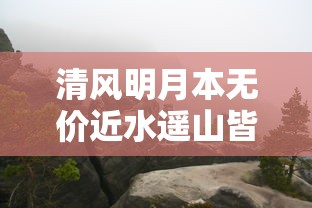 清风明月本无价近水遥山皆有情出自以下哪个名胜的对联  第1张