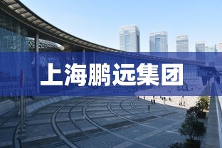 上海鹏远集团  第1张