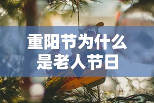 重阳节为什么是老人节日  第1张