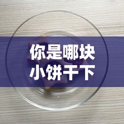 你是哪块小饼干下一句怎么接  第1张