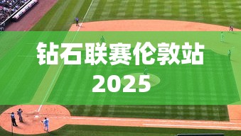 钻石联赛伦敦站2025  第1张