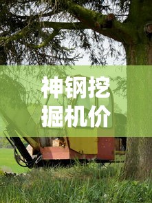 神钢挖掘机价格表  第1张