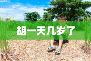 胡一天几岁了  第1张