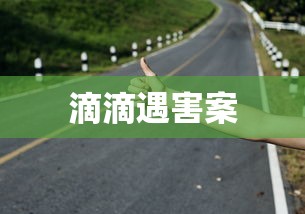 滴滴遇害案  第1张