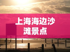 上海海边沙滩景点  第1张