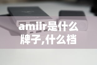 amiir是什么牌子,什么档次  第1张