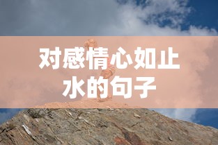 对感情心如止水的句子  第1张