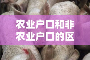 农业户口和非农业户口的区别  第1张