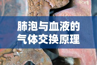 肺泡与血液的气体交换原理是  第1张
