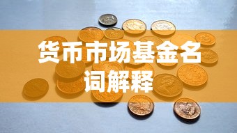 货币市场基金名词解释  第1张