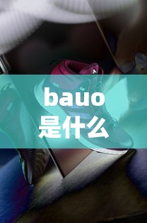 bauo是什么牌子的鞋  第1张