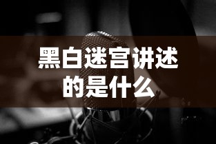 黑白迷宫讲述的是什么  第1张