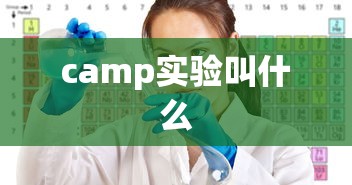 camp实验叫什么  第1张