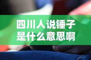 四川人说锤子是什么意思啊  第1张