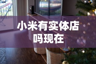 小米有实体店吗现在  第1张