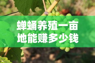 蝉蛹养殖一亩地能赚多少钱  第1张