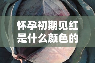 怀孕初期见红是什么颜色的血图  第1张
