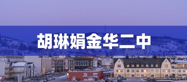 胡琳娟金华二中  第1张